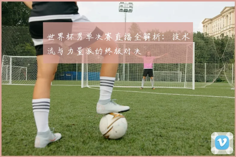 世界杯男单决赛直播全解析：技术流与力量派的终极对决